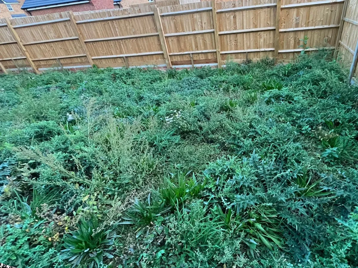 Hedge Care